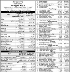 Mega Capital Markets has published 