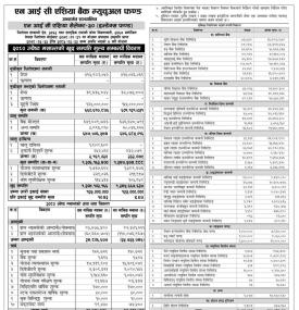 NIC Asia Capital Releases Net Asset Value of NIC Asia Select-30 Index Fund for Jestha, 2080.
