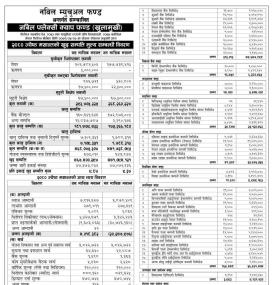 Nabil Investment Banking Releases Net Asset Valueof 'Nabil Flexi Cap Fund' for Jestha, 2080.