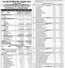 NIC Asia Capital has published 