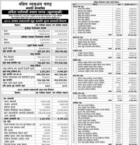 Nabil Investment Banking Limited has published 
