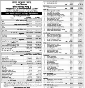 Nabil Investment Banking Limited has published 
