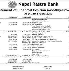 Analyzing Nepal Rastra Bank's Monthly Provisional Statement of Financial Position as of 31st Bhadra 