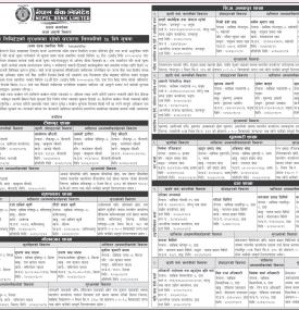 नेपाल बैंकको सुरक्षरणमा रहेको घरजग्गा लिलामीको ३५ दिने सूचना