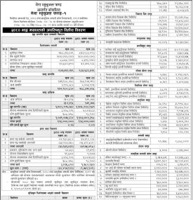 NIMB Ace Capital (former Mega Capital Markets Limited) has published 