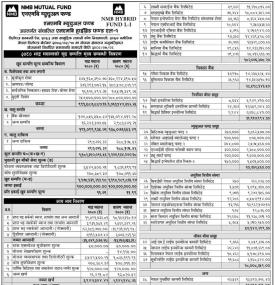 NMB Capital has released the NAV of 