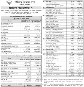 Citizens Capital has released the NAV of 