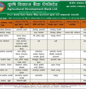 तिहार बिदामा बैँकको विभिन्न शाखाहरू खुल्ला रहने सम्बन्धी सूचना