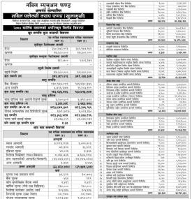 Nabil Investment Banking  has published Nabil Flexi Cap Fund Net Assets Value till Kartik, 2080