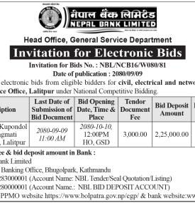 Invitation for Electronic Bid