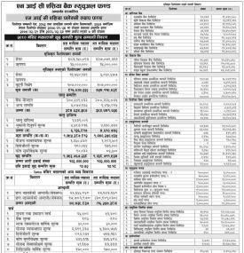 NIC Asia Capital has published NIC Asia Flexi Cap Fund Net Assets Value till Mangsir, 2080