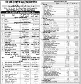  NIC Asia Capital has published 