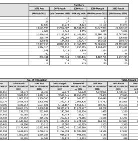 Monthly Payment Systems Indicators: Push, 2080 (Mid-January 2024)