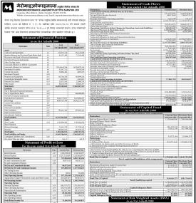 Mero Microfinance Laghubitta has published its annual financial statement of the fiscal year 2079/80