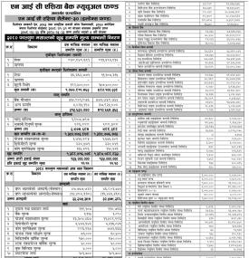 NIC Asia Capital has published NIC Asia Select-30 (Index Fund) Net Assets Value till Falgun, 2080