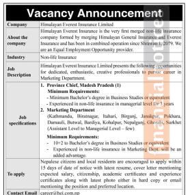 Job Vacancy -