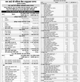 NIC Asia Capital has published NIC Asia Flexi Cap Fund Net Assets Value till Chaitra, 2080