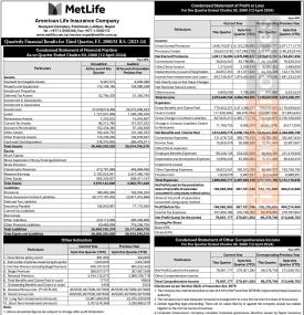मेट लाईफ इन्सुरेन्सको खुद नाफा २७ करोड ४ लाख ५१ हजार रुपैयाँ - Q3 Report- 