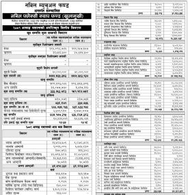 Nabil Investment Banking has published Nabil Flexi Cap Fund Net Assets Value till Ashad, 2081