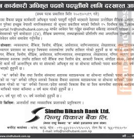 सिन्धु विकास बैंकमा रोजगारीको अवसर