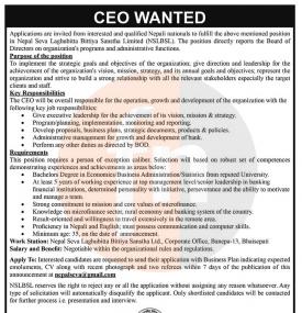 CEO Wanted
