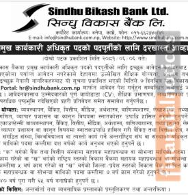 सिन्धु विकास बैंकमा रोजगारीको अवसर