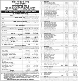 Nabil Investment published NAV for 