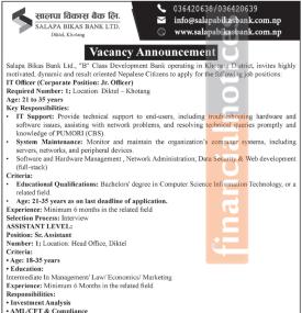 विकास बैंकमा कर्मचारी आवश्यकता - JOB VACANCY -