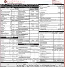 Himalayan Laghubitta has published its annual financial statement of the fiscal year 2080/81