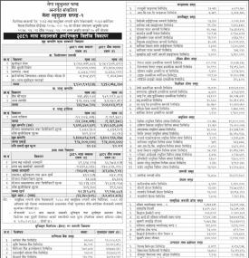NIMB Ace Capital has published 