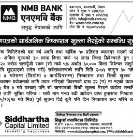 Debenture Issue Notice