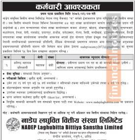 नाडेप लघुवित्तमा कर्मचारी आवश्यकता सम्बन्धी सूचना - JOB Opportunities -