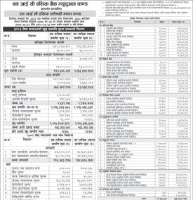  NIC Asia Capital Limited has published 