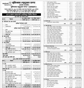 Muktinath Capital has published 