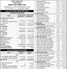 LS Capital Limited has published 
