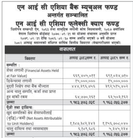 NIC Asia Capital published financial highlights of 