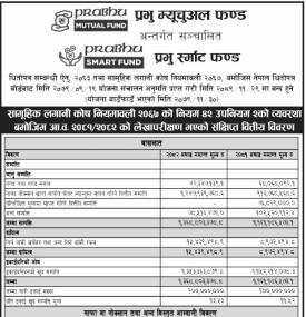  Prabhu Capital published the audited financial highlights of 