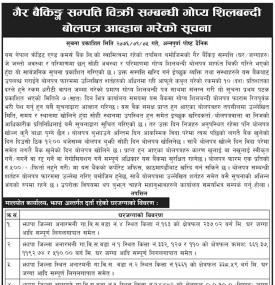 Tender Auction Notice