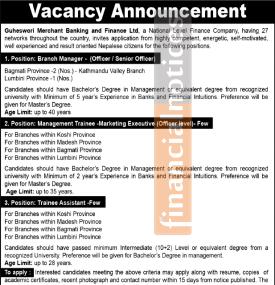 Guheswori Merchant Banking and Finance Announces New Job Vacancies 2025 -