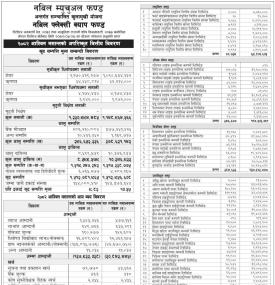 Nabil Investment Banking has published 