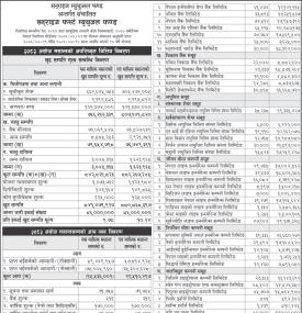 LS Capital has published 