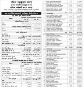 Nabil Investment Banking has published 