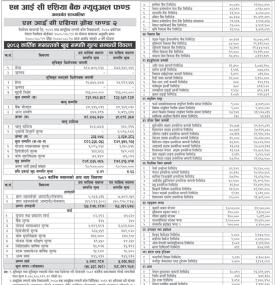 NIC Asia Capital has published 