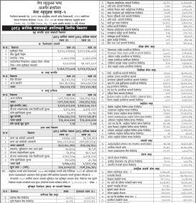 NIMB Ace Capital has published 