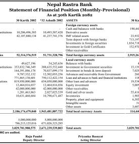 Statement of Financial Position (Monthly Provisional)