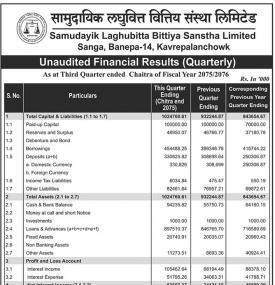 Unaudited Financial Results