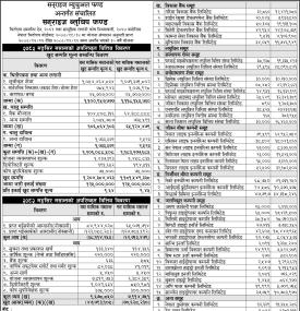 LS Capital has published 