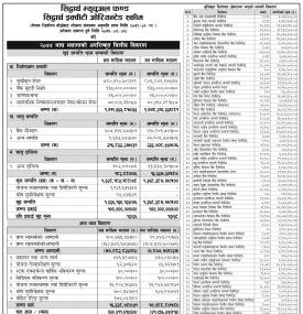 अपरिष्कृत वित्तीय विवरण