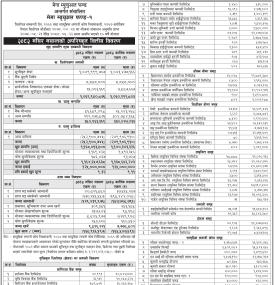 NIMB Ace Capital has published 