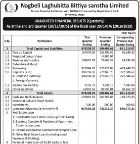 Unaudited Financial Results